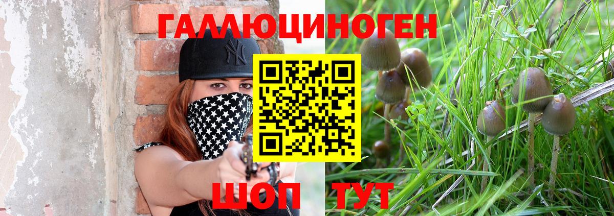 Галлюциногенные грибы MAGIC MUSHROOMS Москва